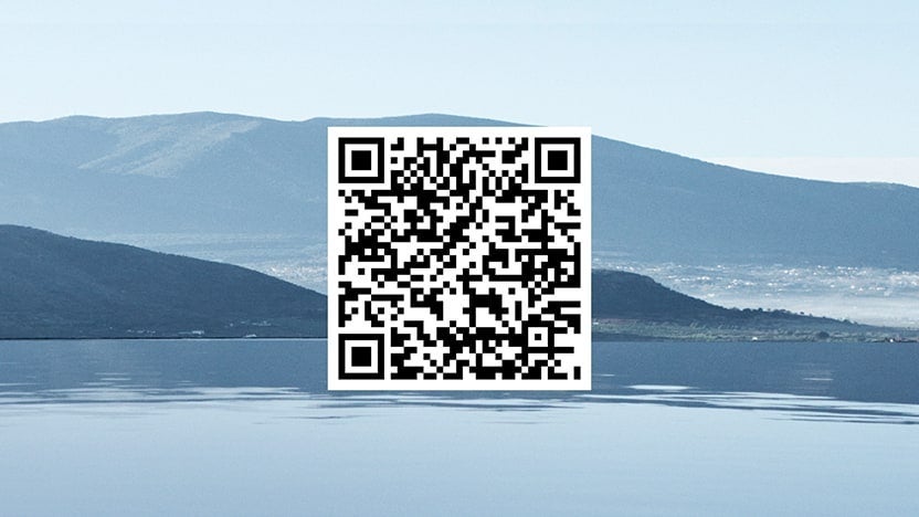 Hyundai Evolve+ iPhone QR code | Robert Woodall Hyundai in Danville VA
